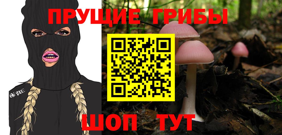 Воткинск  Галлюциногенные грибы Psilocybine cubensis  наркотики  Вход с VPN 
