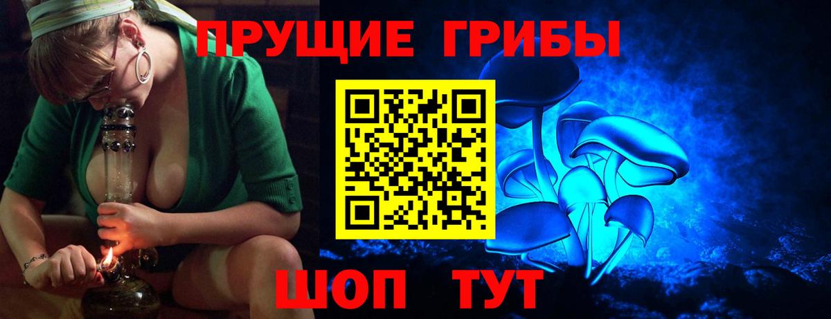 Псилоцибиновые грибы Psilocybe Воткинск